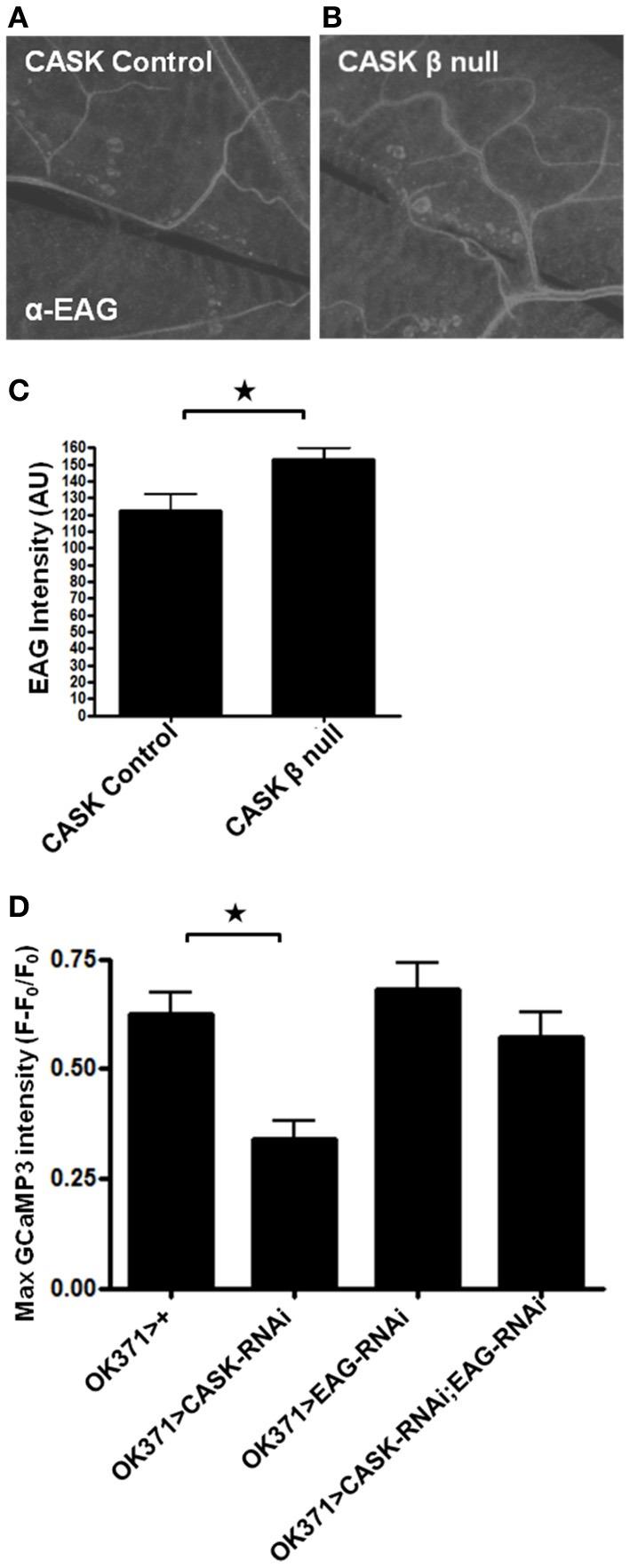 https://cdn.ncbi.nlm.nih.gov/pmc/blobs/9570/3769642/5aa8075c00f5/fnmol-06-00027-g0005.jpg