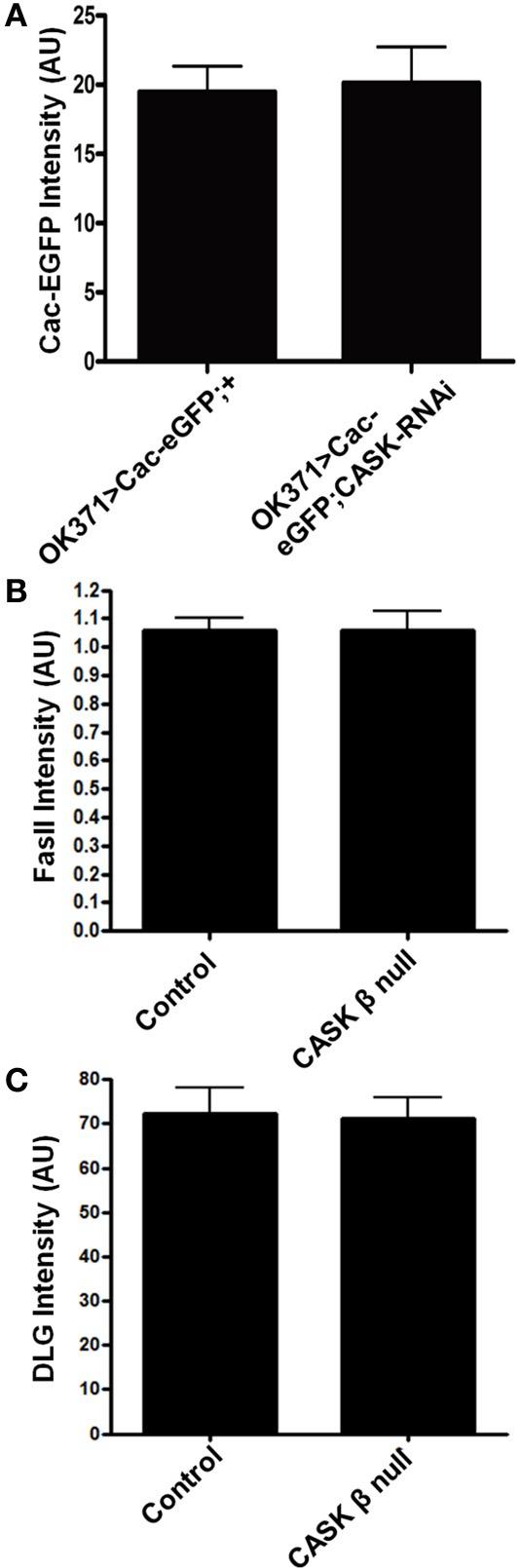 https://cdn.ncbi.nlm.nih.gov/pmc/blobs/9570/3769642/f95e7866b55a/fnmol-06-00027-g0004.jpg