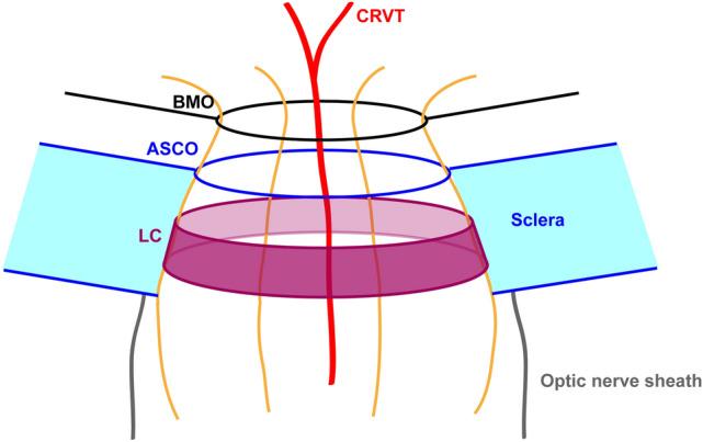 https://cdn.ncbi.nlm.nih.gov/pmc/blobs/9570/8599705/06e1d519f0fd/41598_2021_1184_Fig1_HTML.jpg