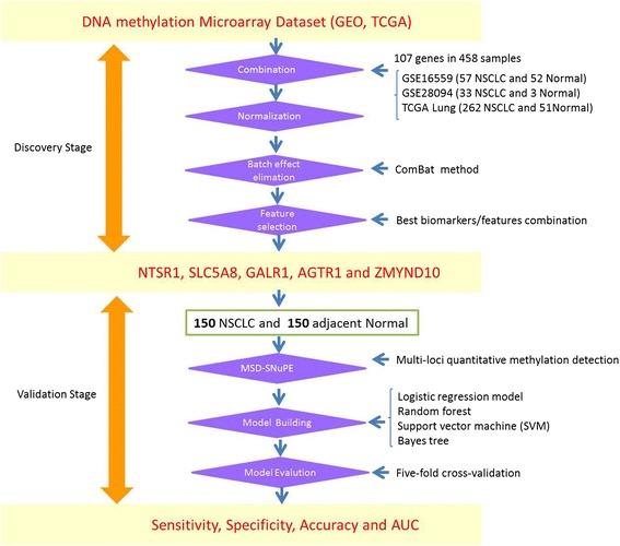 https://cdn.ncbi.nlm.nih.gov/pmc/blobs/9571/4318209/9632763953e2/13148_2014_35_Fig1_HTML.jpg