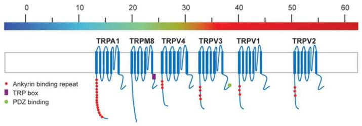 https://cdn.ncbi.nlm.nih.gov/pmc/blobs/9572/10376906/a982b421b82c/biomedicines-11-01778-g006.jpg