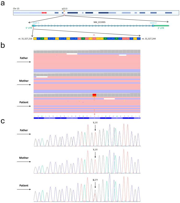 https://cdn.ncbi.nlm.nih.gov/pmc/blobs/9573/11354057/84968cfd09b9/genes-15-01056-g001.jpg