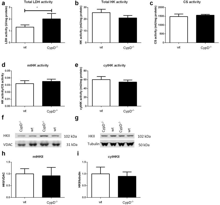 https://cdn.ncbi.nlm.nih.gov/pmc/blobs/9573/5630626/aafa8c065abd/41598_2017_13096_Fig2_HTML.jpg