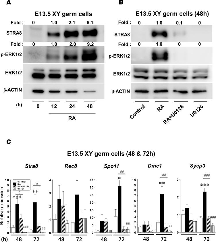 https://cdn.ncbi.nlm.nih.gov/pmc/blobs/9573/6827903/4cdc459d8fde/pone.0224628.g005.jpg
