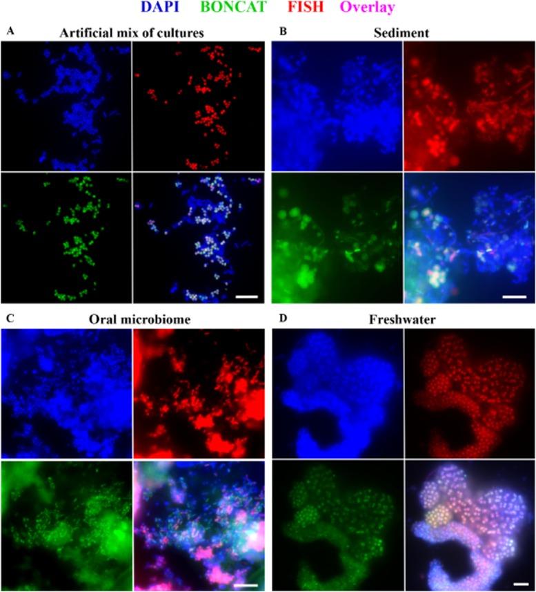 https://cdn.ncbi.nlm.nih.gov/pmc/blobs/9575/4257573/468d17e8fe75/emi0016-2568-f5.jpg