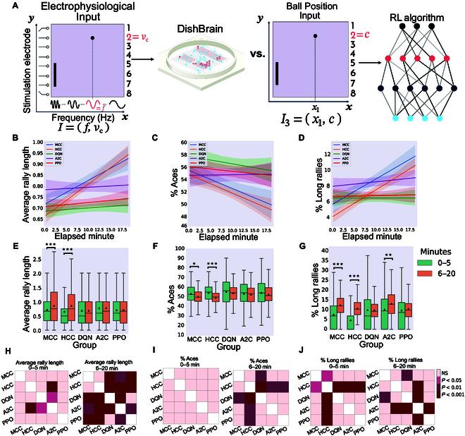 https://cdn.ncbi.nlm.nih.gov/pmc/blobs/9579/12320521/8eed1b406732/cbsystems.0336.fig.007.jpg