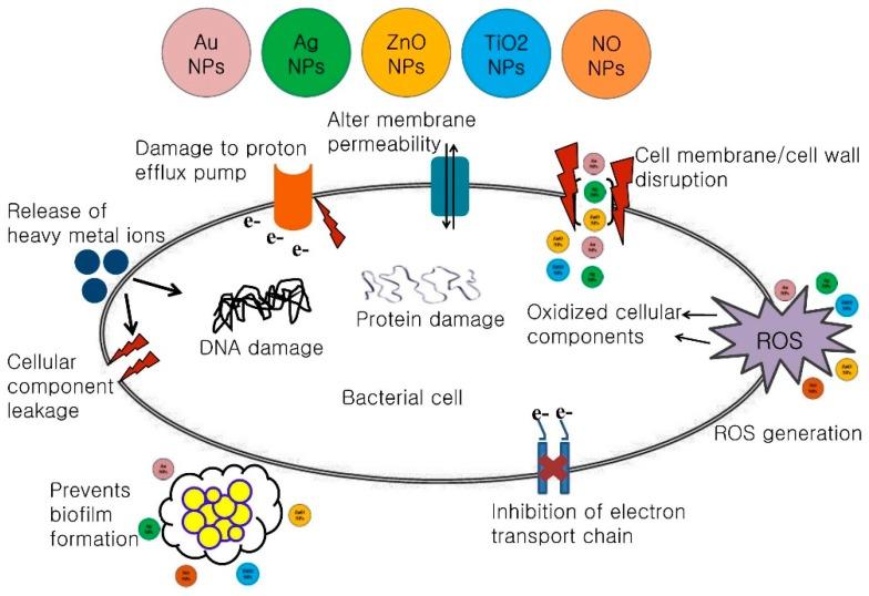 https://cdn.ncbi.nlm.nih.gov/pmc/blobs/9579/6566786/3f3db2186c1e/ijms-20-02468-g001.jpg