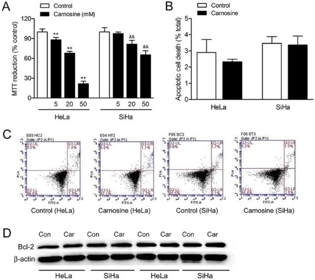 https://cdn.ncbi.nlm.nih.gov/pmc/blobs/957b/5950946/976b6d2cdbe4/10.1177_1534735416684551-fig1.jpg