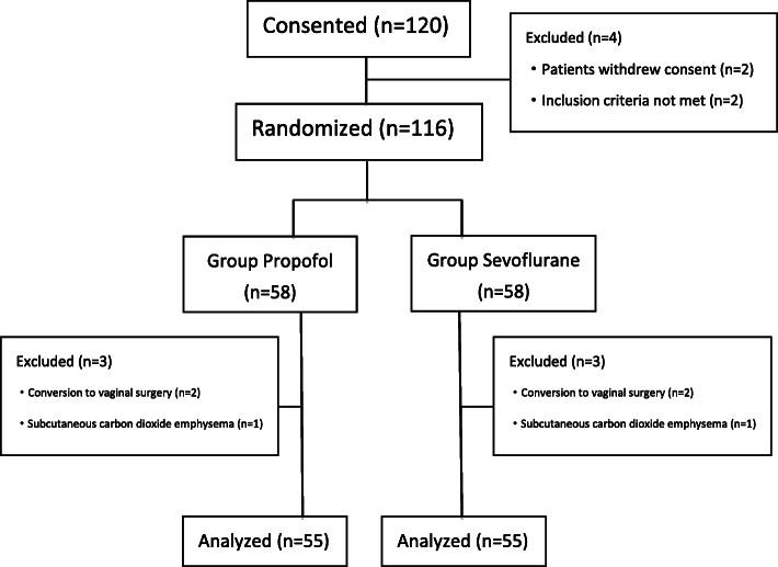 https://cdn.ncbi.nlm.nih.gov/pmc/blobs/957b/7839298/59e107688898/12871_2021_1243_Fig1_HTML.jpg