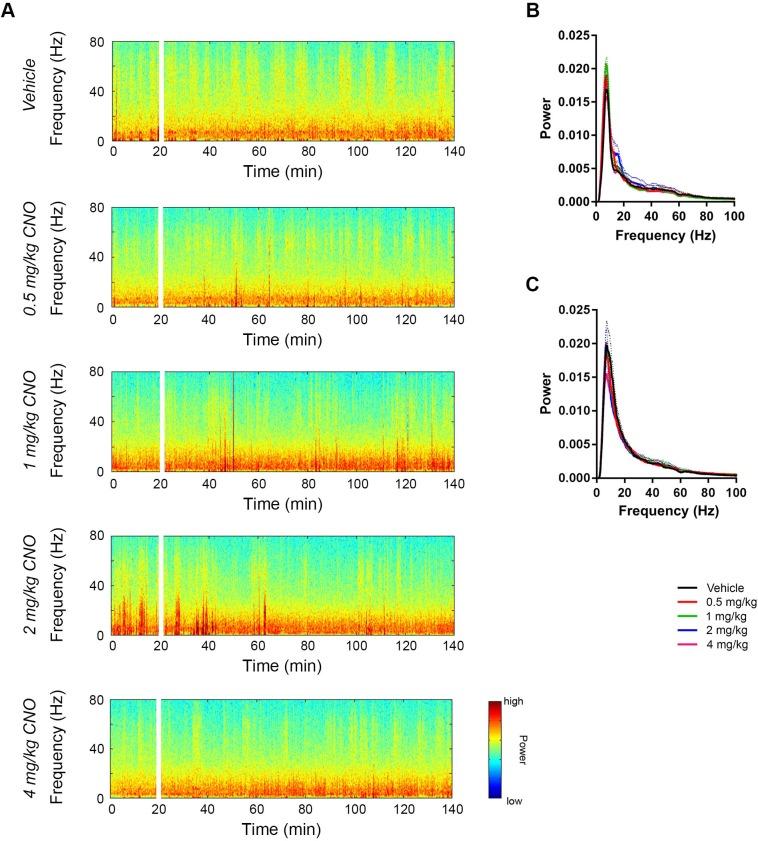 https://cdn.ncbi.nlm.nih.gov/pmc/blobs/957d/6251629/02d7f650497f/elife-38052-fig3-figsupp1.jpg