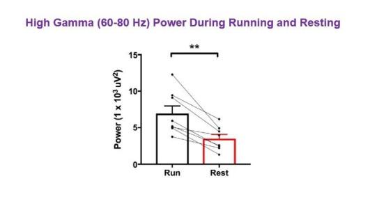 https://cdn.ncbi.nlm.nih.gov/pmc/blobs/957d/6251629/65ee56b59b2c/elife-38052-resp-fig4.jpg