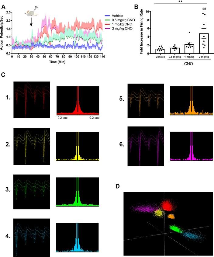 https://cdn.ncbi.nlm.nih.gov/pmc/blobs/957d/6251629/6956eafac3e8/elife-38052-fig2-figsupp2.jpg