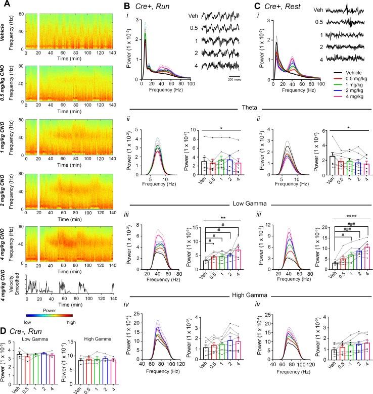 https://cdn.ncbi.nlm.nih.gov/pmc/blobs/957d/6251629/eac9566f53fa/elife-38052-fig2.jpg