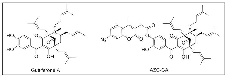 https://cdn.ncbi.nlm.nih.gov/pmc/blobs/957e/11768348/1e5731d09aee/pharmaceuticals-18-00028-g017.jpg