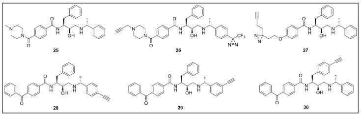 https://cdn.ncbi.nlm.nih.gov/pmc/blobs/957e/11768348/3bec85fb495e/pharmaceuticals-18-00028-g019.jpg