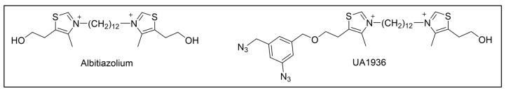 https://cdn.ncbi.nlm.nih.gov/pmc/blobs/957e/11768348/5d3cf2d0473a/pharmaceuticals-18-00028-g022.jpg