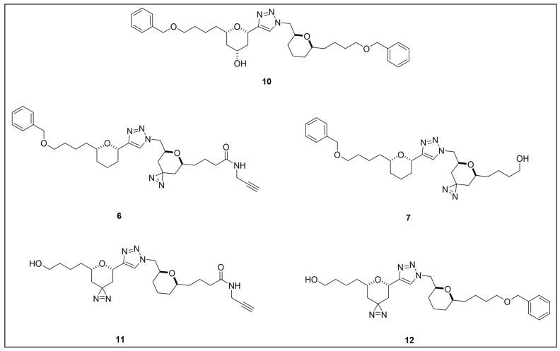 https://cdn.ncbi.nlm.nih.gov/pmc/blobs/957e/11768348/6afc2070dd96/pharmaceuticals-18-00028-g009.jpg
