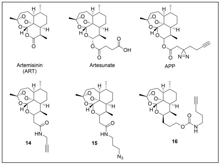 https://cdn.ncbi.nlm.nih.gov/pmc/blobs/957e/11768348/8f9a97383bd0/pharmaceuticals-18-00028-g013.jpg