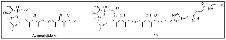 https://cdn.ncbi.nlm.nih.gov/pmc/blobs/957e/11768348/a6ecbd24fd94/pharmaceuticals-18-00028-g011.jpg