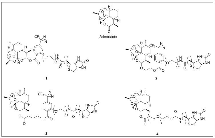 https://cdn.ncbi.nlm.nih.gov/pmc/blobs/957e/11768348/cbbaba0a4237/pharmaceuticals-18-00028-g006.jpg