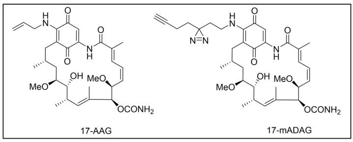 https://cdn.ncbi.nlm.nih.gov/pmc/blobs/957e/11768348/d629d7eab3f0/pharmaceuticals-18-00028-g010.jpg