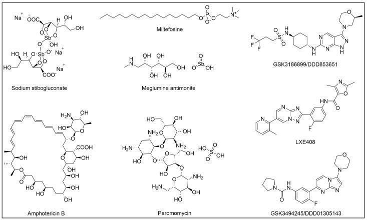 https://cdn.ncbi.nlm.nih.gov/pmc/blobs/957e/11768348/ef8a4f3a6aff/pharmaceuticals-18-00028-g004.jpg