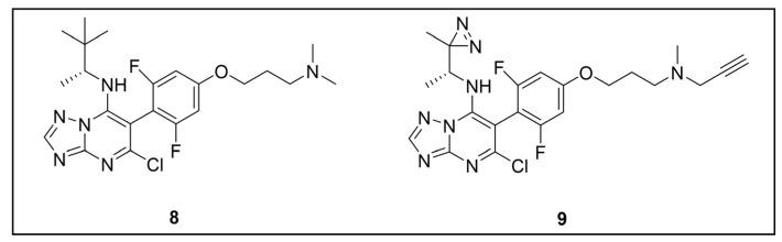 https://cdn.ncbi.nlm.nih.gov/pmc/blobs/957e/11768348/f678b2d9f12d/pharmaceuticals-18-00028-g008.jpg