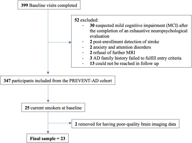 https://cdn.ncbi.nlm.nih.gov/pmc/blobs/957f/12247603/91ad97974737/imag_a_00142_fig1.jpg