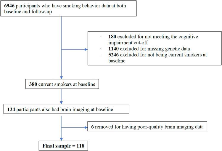 https://cdn.ncbi.nlm.nih.gov/pmc/blobs/957f/12247603/ffc836ce7360/imag_a_00142_fig2.jpg
