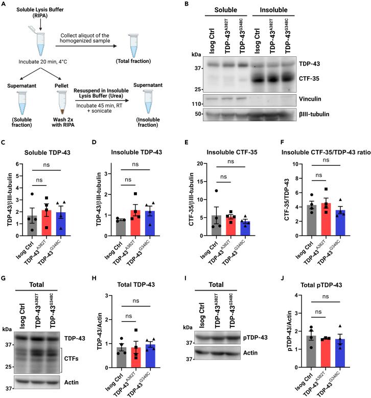 https://cdn.ncbi.nlm.nih.gov/pmc/blobs/9581/10905001/2603451b3b75/gr3.jpg