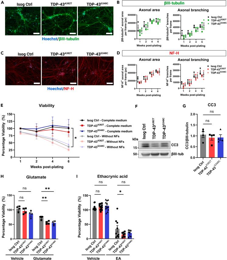 https://cdn.ncbi.nlm.nih.gov/pmc/blobs/9581/10905001/9c76013072e2/gr2.jpg