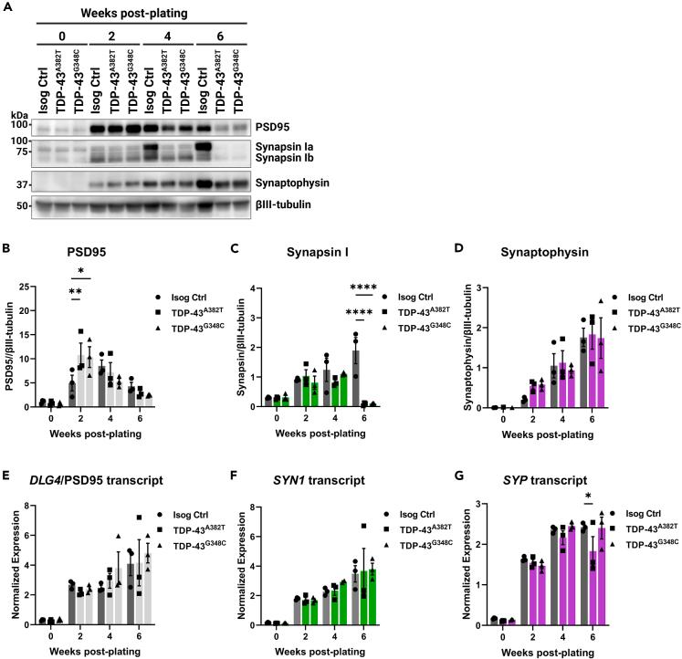 https://cdn.ncbi.nlm.nih.gov/pmc/blobs/9581/10905001/e33b6323b447/gr7.jpg