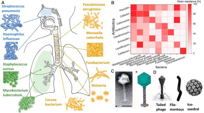 https://cdn.ncbi.nlm.nih.gov/pmc/blobs/9583/12363259/7e8b34e85372/fddev-03-1209534-g002.jpg