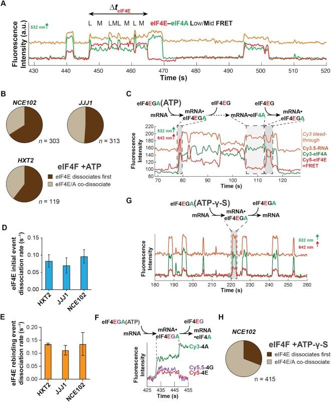 https://cdn.ncbi.nlm.nih.gov/pmc/blobs/9583/9371892/63ae45e79b57/gkac631fig6.jpg