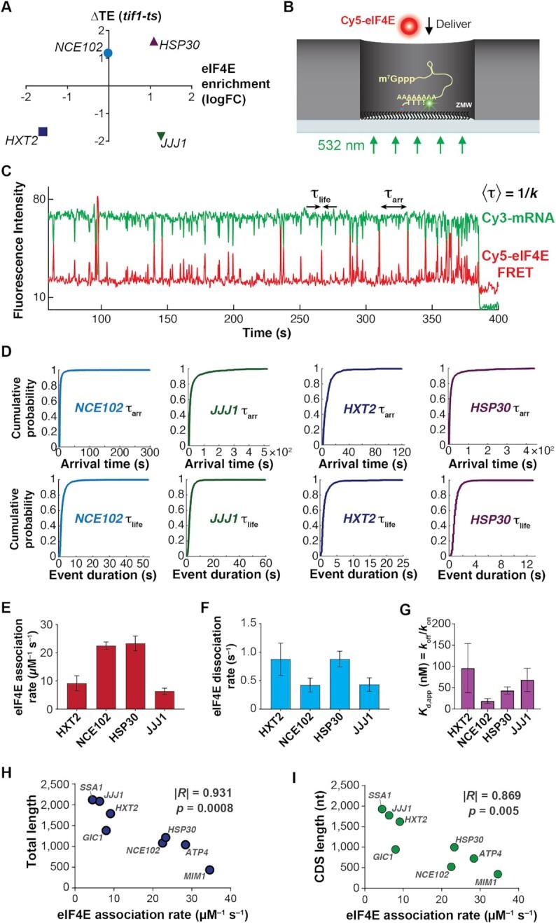 https://cdn.ncbi.nlm.nih.gov/pmc/blobs/9583/9371892/ca29715c0760/gkac631fig1.jpg
