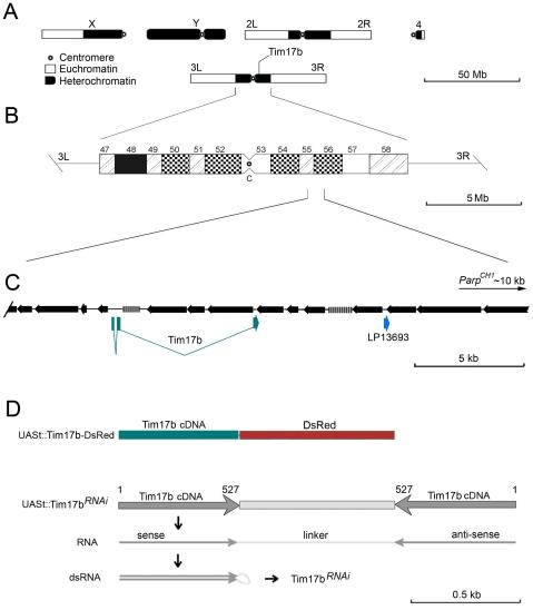 https://cdn.ncbi.nlm.nih.gov/pmc/blobs/9584/3188573/483d0ea0a63b/pone.0025945.g001.jpg
