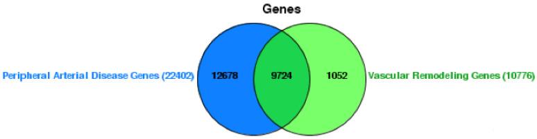 https://cdn.ncbi.nlm.nih.gov/pmc/blobs/9586/11049860/4566d2fc8cdd/ijms-25-04502-g001.jpg