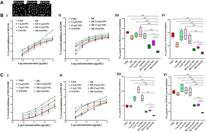 https://cdn.ncbi.nlm.nih.gov/pmc/blobs/9587/11076782/2d4668c61206/fphar-15-1363511-g002.jpg
