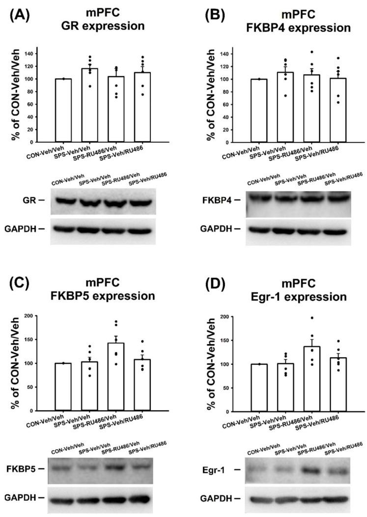 https://cdn.ncbi.nlm.nih.gov/pmc/blobs/9588/9141845/3bd416cf35fb/ijms-23-05494-g004.jpg