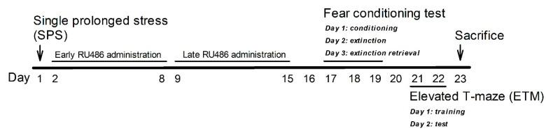 https://cdn.ncbi.nlm.nih.gov/pmc/blobs/9588/9141845/8bc2b9673d58/ijms-23-05494-g007.jpg
