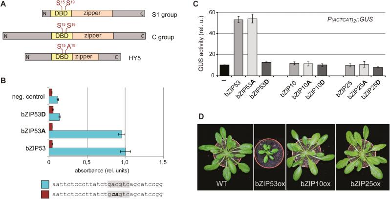 https://cdn.ncbi.nlm.nih.gov/pmc/blobs/958c/6812703/5c42330f4b3f/erz309f0001.jpg