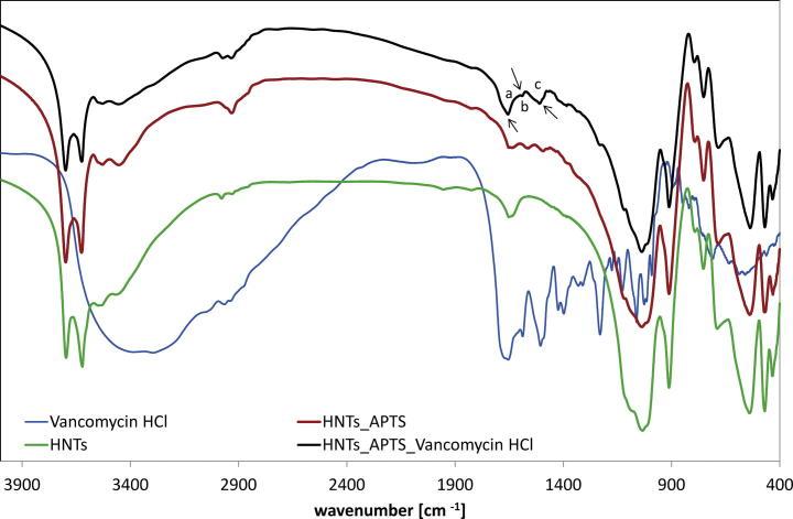 https://cdn.ncbi.nlm.nih.gov/pmc/blobs/9590/5605850/5ba855f722d3/gr3.jpg