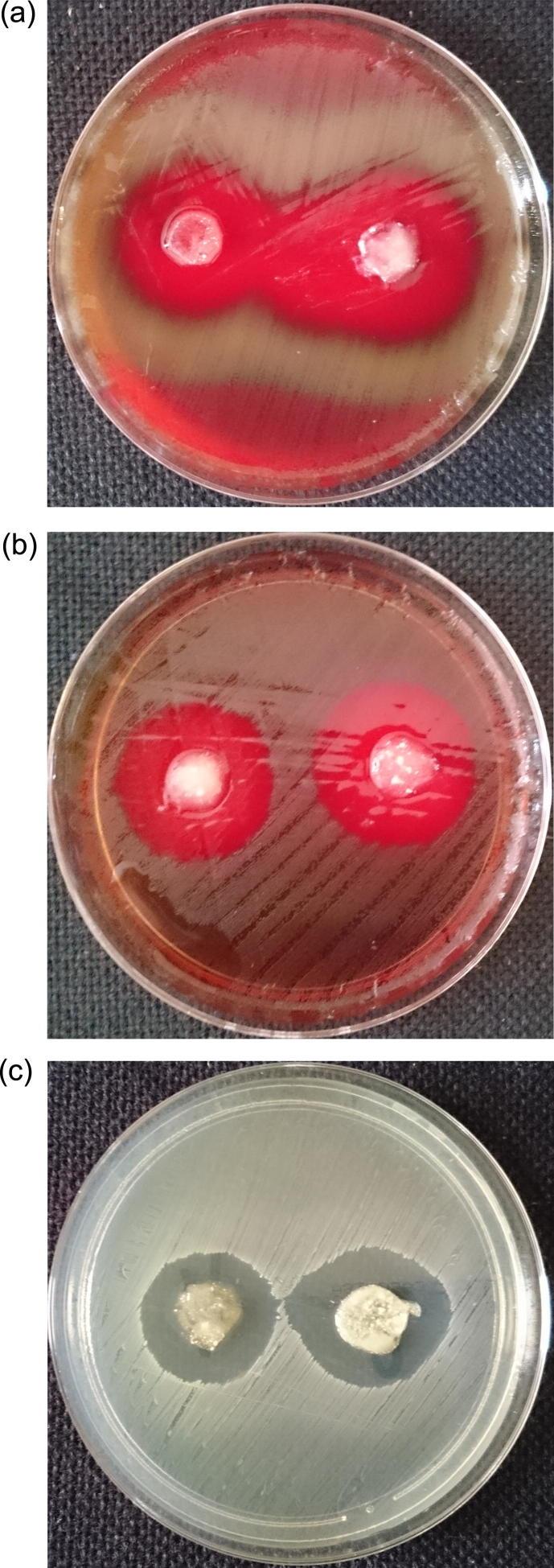 https://cdn.ncbi.nlm.nih.gov/pmc/blobs/9590/5605850/e9192d5bc8e1/gr8.jpg