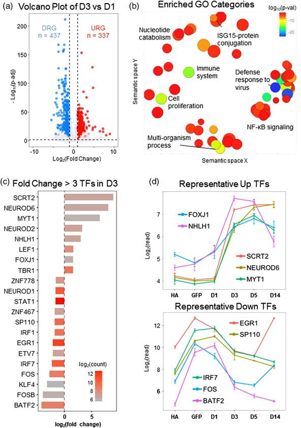 https://cdn.ncbi.nlm.nih.gov/pmc/blobs/9595/9540770/acc39f124538/DNEU-82-375-g003.jpg