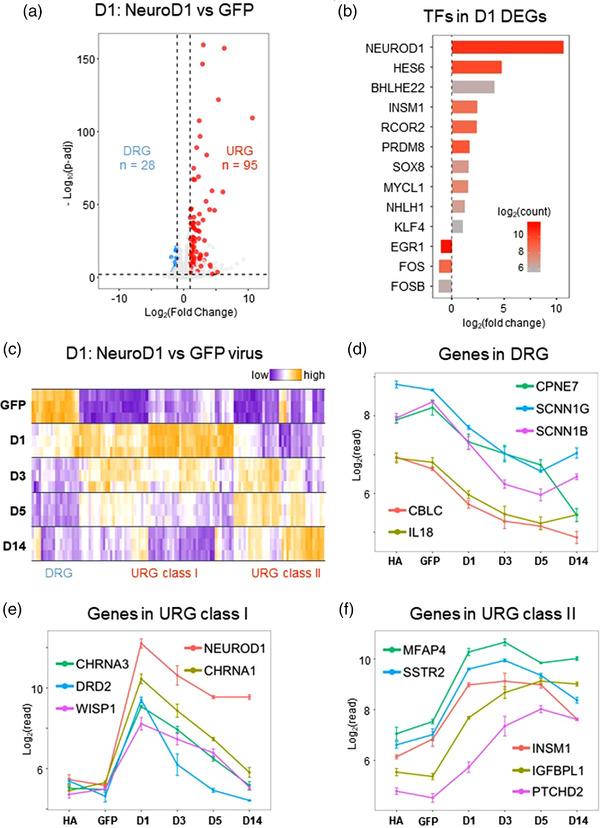 https://cdn.ncbi.nlm.nih.gov/pmc/blobs/9595/9540770/bd43ff209a6f/DNEU-82-375-g002.jpg