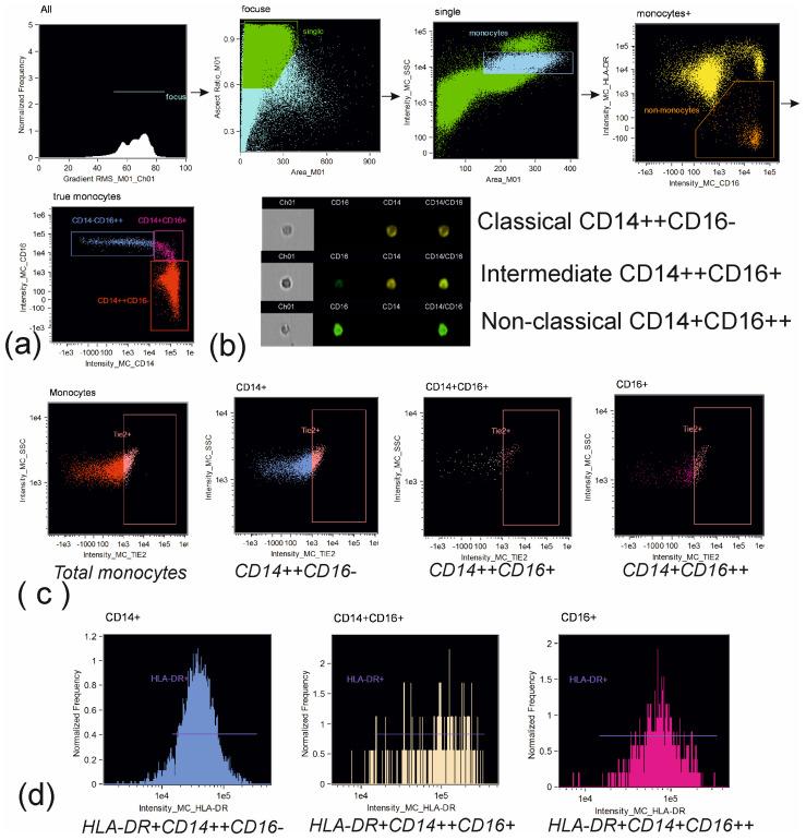 https://cdn.ncbi.nlm.nih.gov/pmc/blobs/9596/10669450/9a509f009bf6/biomedicines-11-02911-g001.jpg