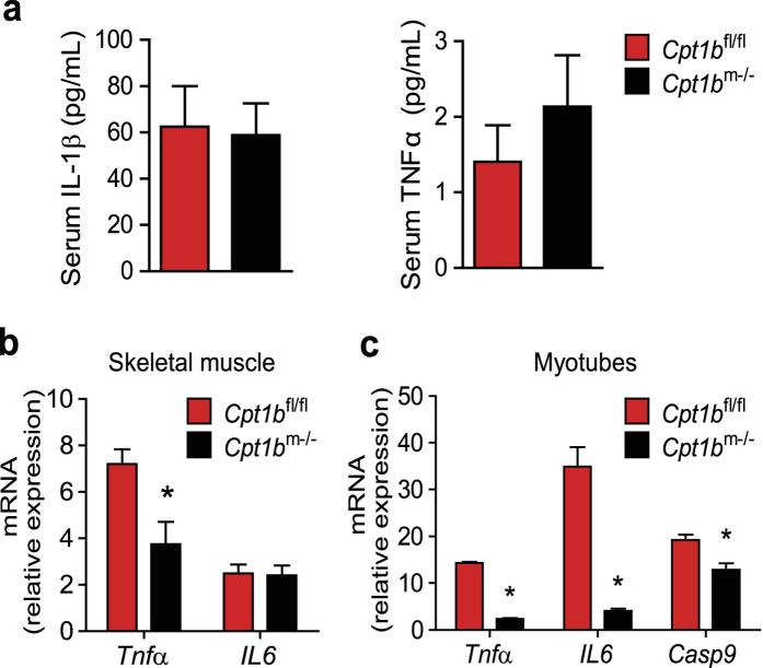 https://cdn.ncbi.nlm.nih.gov/pmc/blobs/9598/5124994/b49fadc5600b/srep37941-f1.jpg