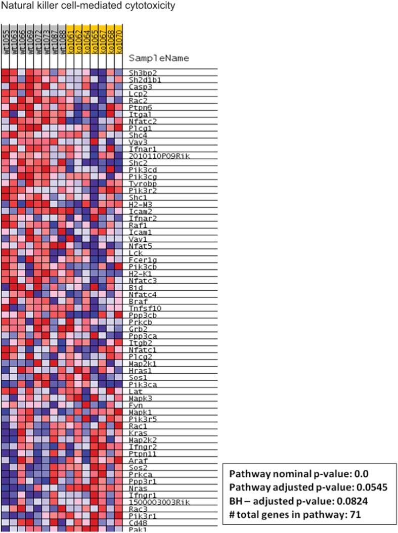 https://cdn.ncbi.nlm.nih.gov/pmc/blobs/9598/5124994/b82f2eef470d/srep37941-f4.jpg