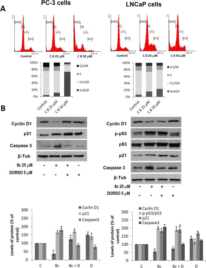https://cdn.ncbi.nlm.nih.gov/pmc/blobs/959a/5847527/0419a83a9592/41598_2018_22690_Fig4_HTML.jpg
