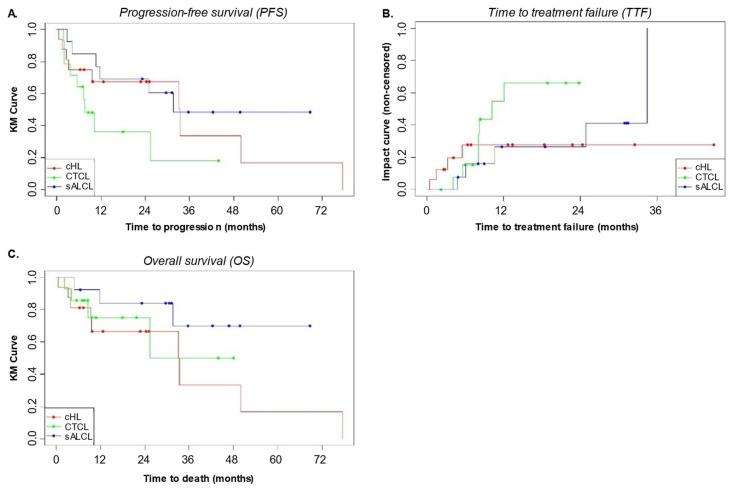 https://cdn.ncbi.nlm.nih.gov/pmc/blobs/959b/11987772/616b884926e4/cancers-17-01137-g004.jpg